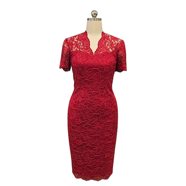 Dark Red Japanese Lace Cocktail Dress